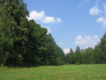 IMG 0046