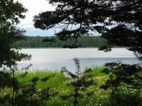Заказник "Кургальский полуостров" 