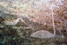 Onega and White Sea Petroglyphs